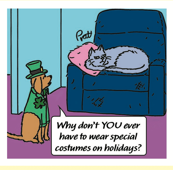 Jokes about cats: a cat sleeps while a saint pattys day dog asks him about his pillow