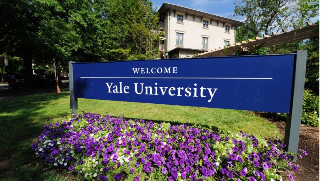 Welcome to Yale University sign located along Trumbull Street in New Haven, Connecticut. Photograph taken with purple flowers blooming in the foreground