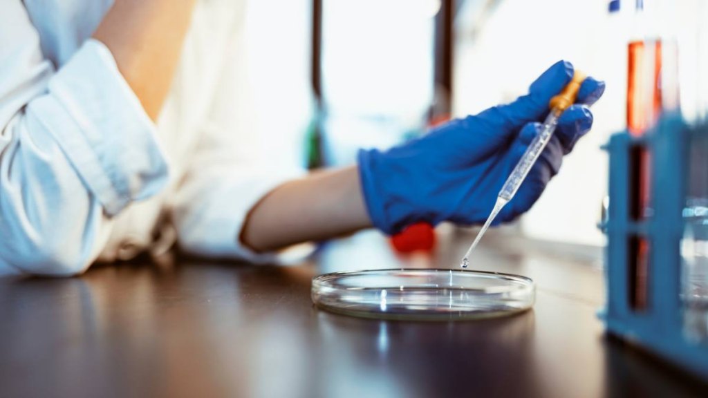 Scientist testing salmonella