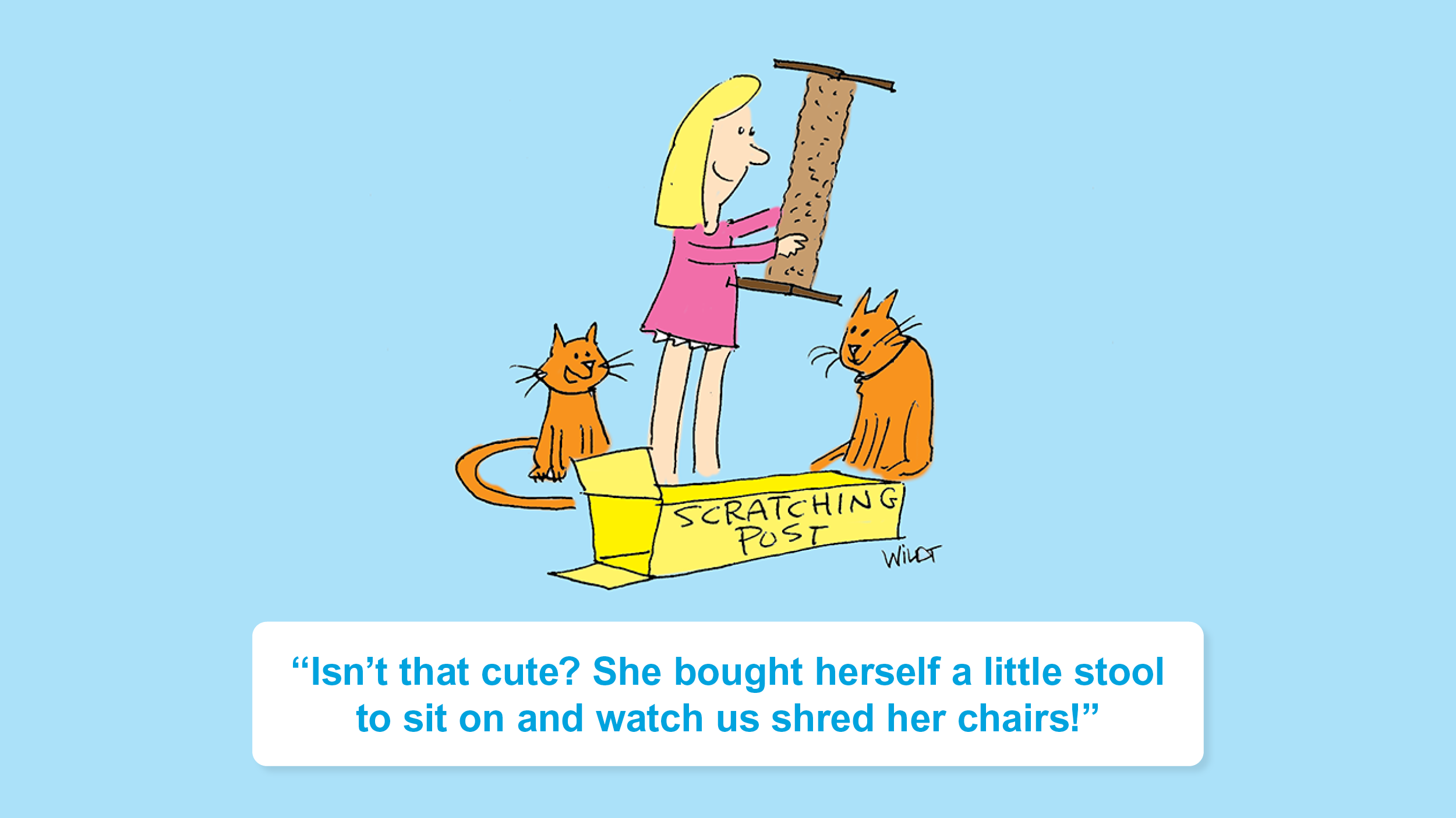 Jokes About Cats So Funny They ll Have You On All Fours Woman s World Jokes about cats so funny they ll have you on all fours woman s world