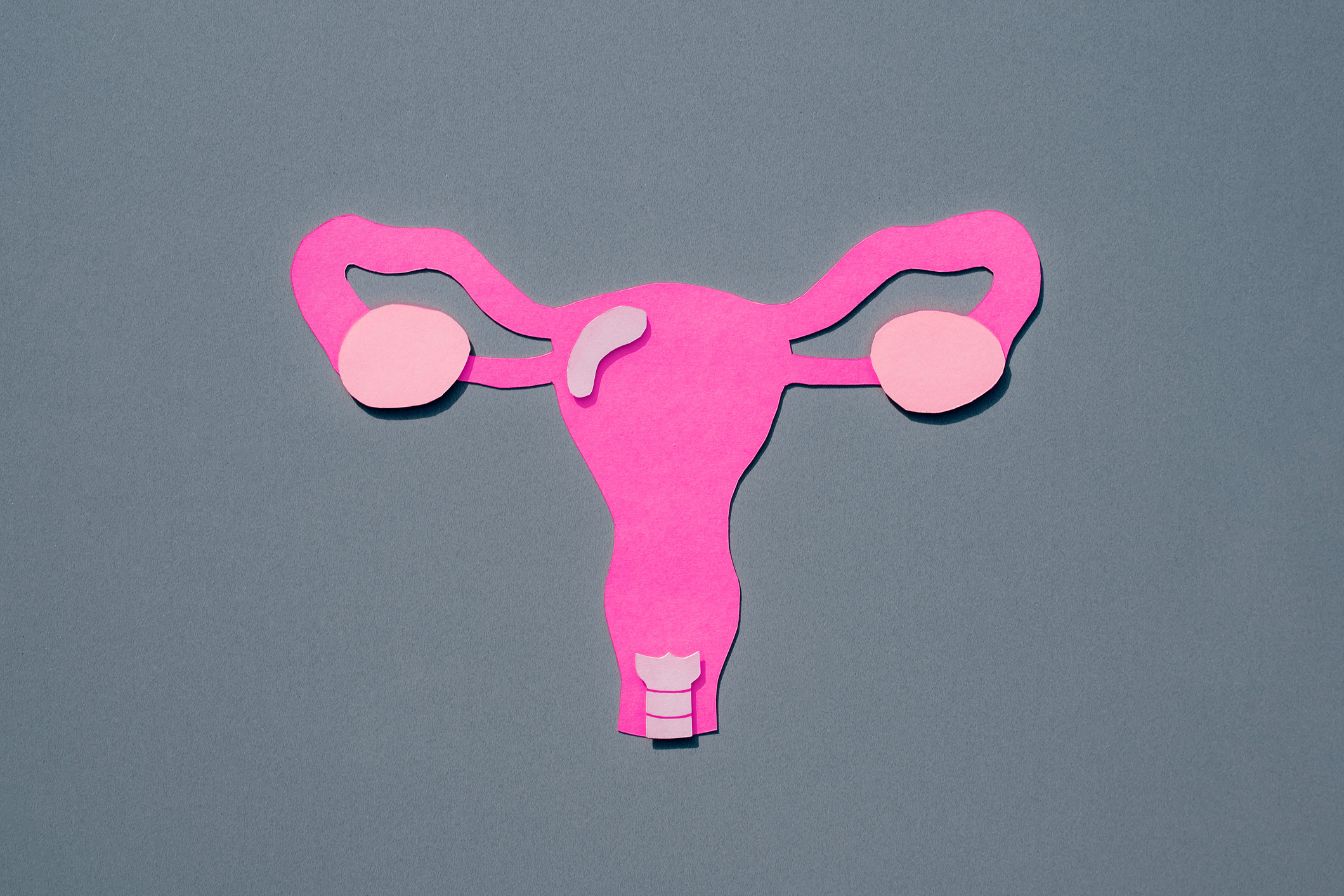 diagram of a woman with early menopause' uterus