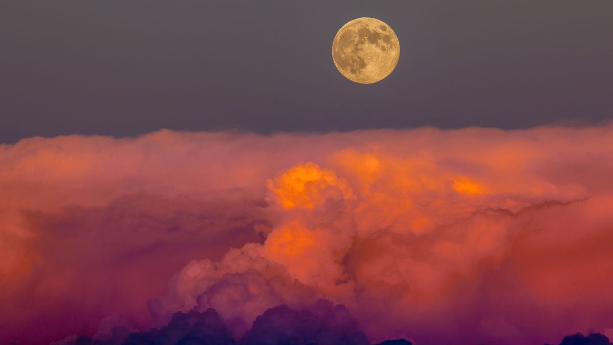 The term "harvest moon" simply refers to the full moon that occurs closest to the autumnal equinox. I captured this moonrise just after it rose above a bank of storm clouds in southwestern Colorado near Hovenweep National Monument.