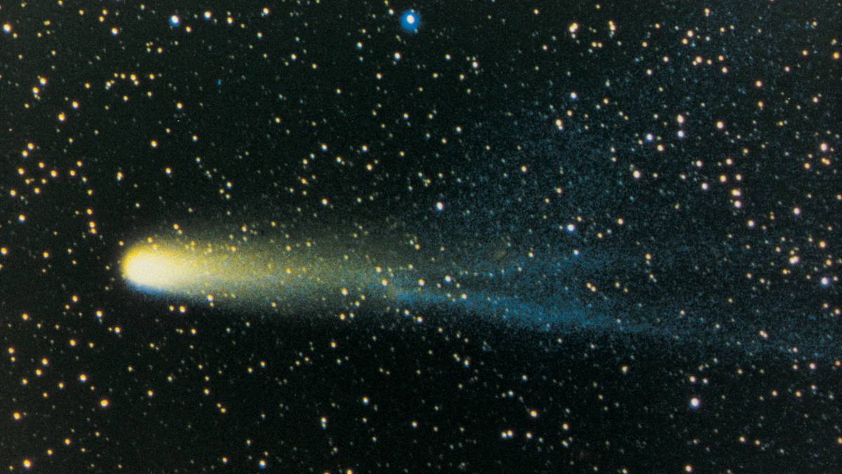 halleys comet