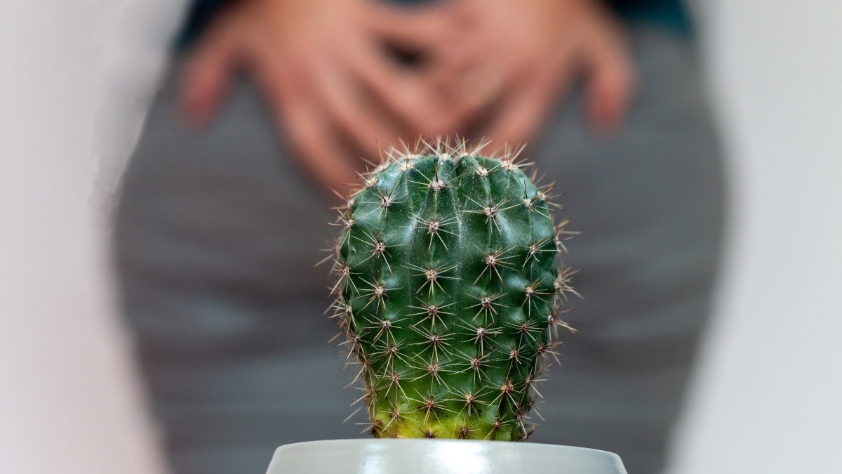 A cactus, which represents hemorrhoids, in front of a woman holding the back of her pants