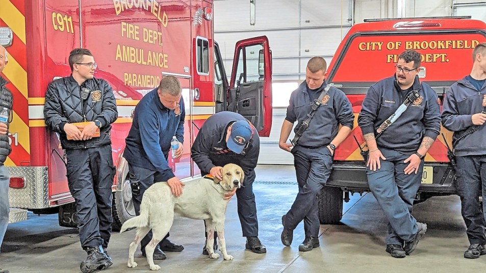 Koda posing with firefighters at the Brookfield Fire Department