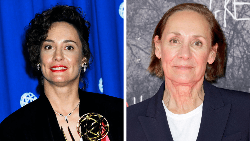 Side-by-side of Laurie Metcalf then and now