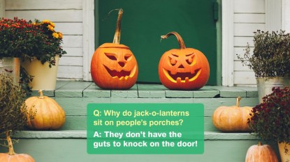 Halloween jokes: Two pumpkins sit and chit chat
