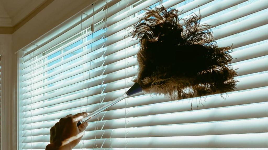 How to Clean Blinds: Woman Cleans Blinds with Feather Duster