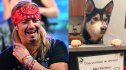 Bret Michaels human and dog
