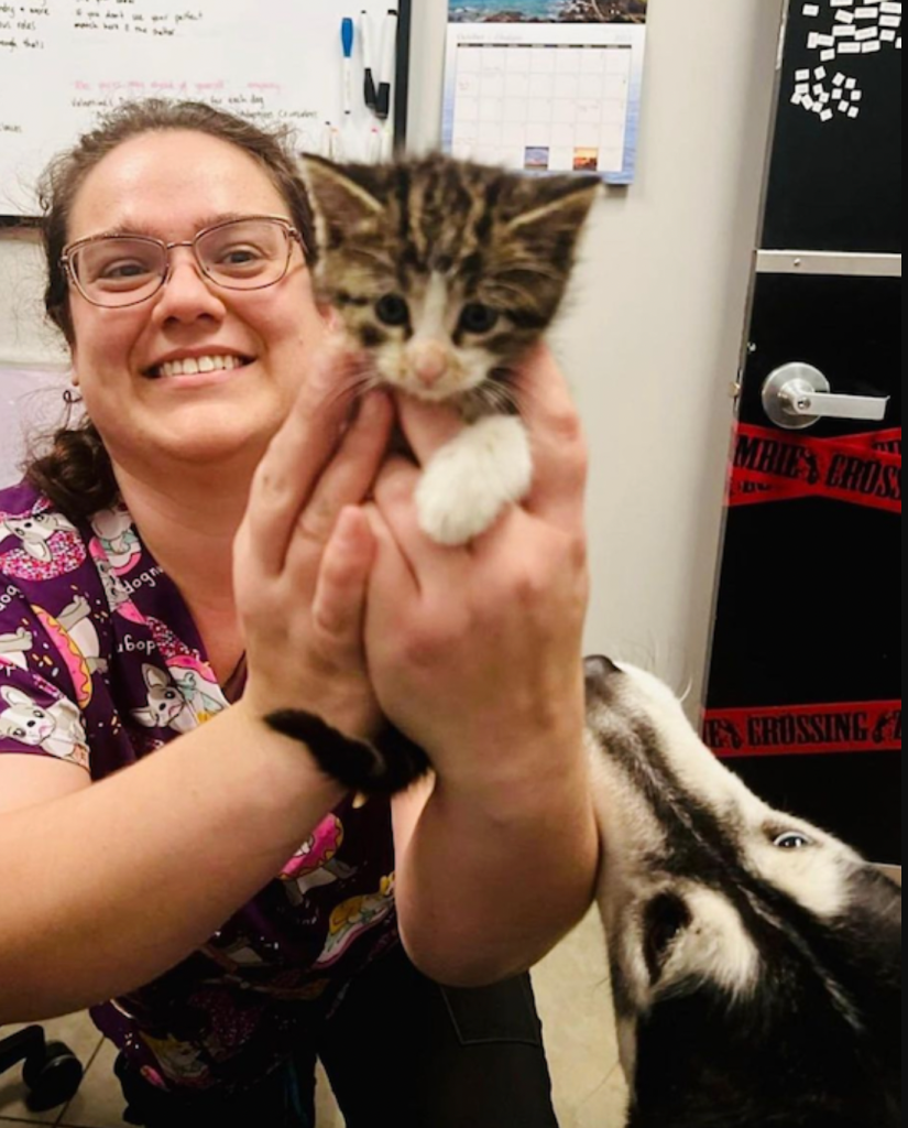 Shelter volunteer holding kitten as Bret Michaels the dog nuzzles her