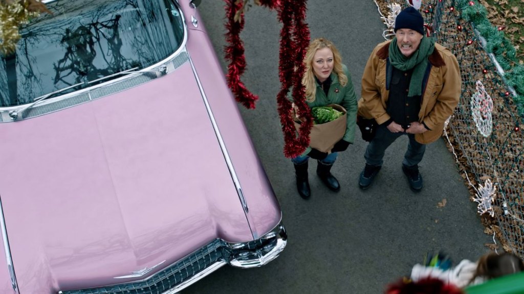Virginia Madsen and John C McGinley
