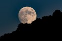 This is a photo of the full moon rises above a tree covered mountain.