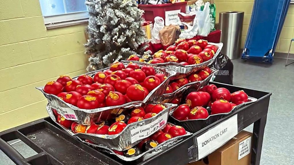 Pups who stay at the shelter on Thanksgiving get treats, like peanut butter–filled Kong toys