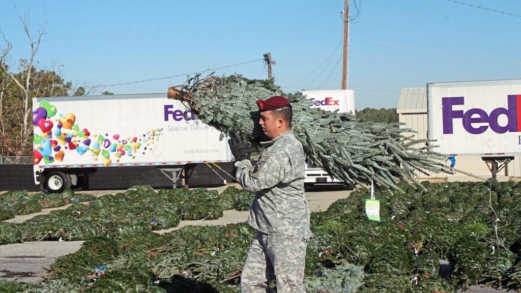 Soldier carries tree from FedEx truck
