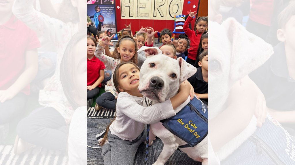 Cole the Deaf Dog with kids