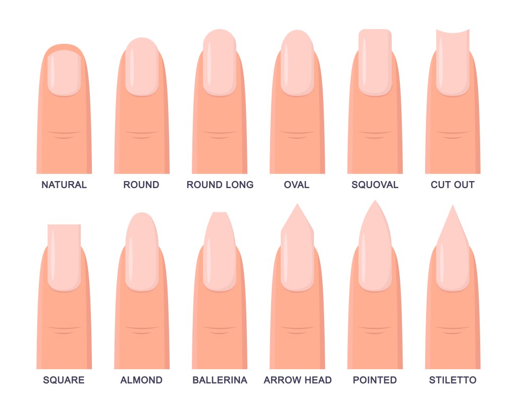 A chart of the different nail shapes 2023