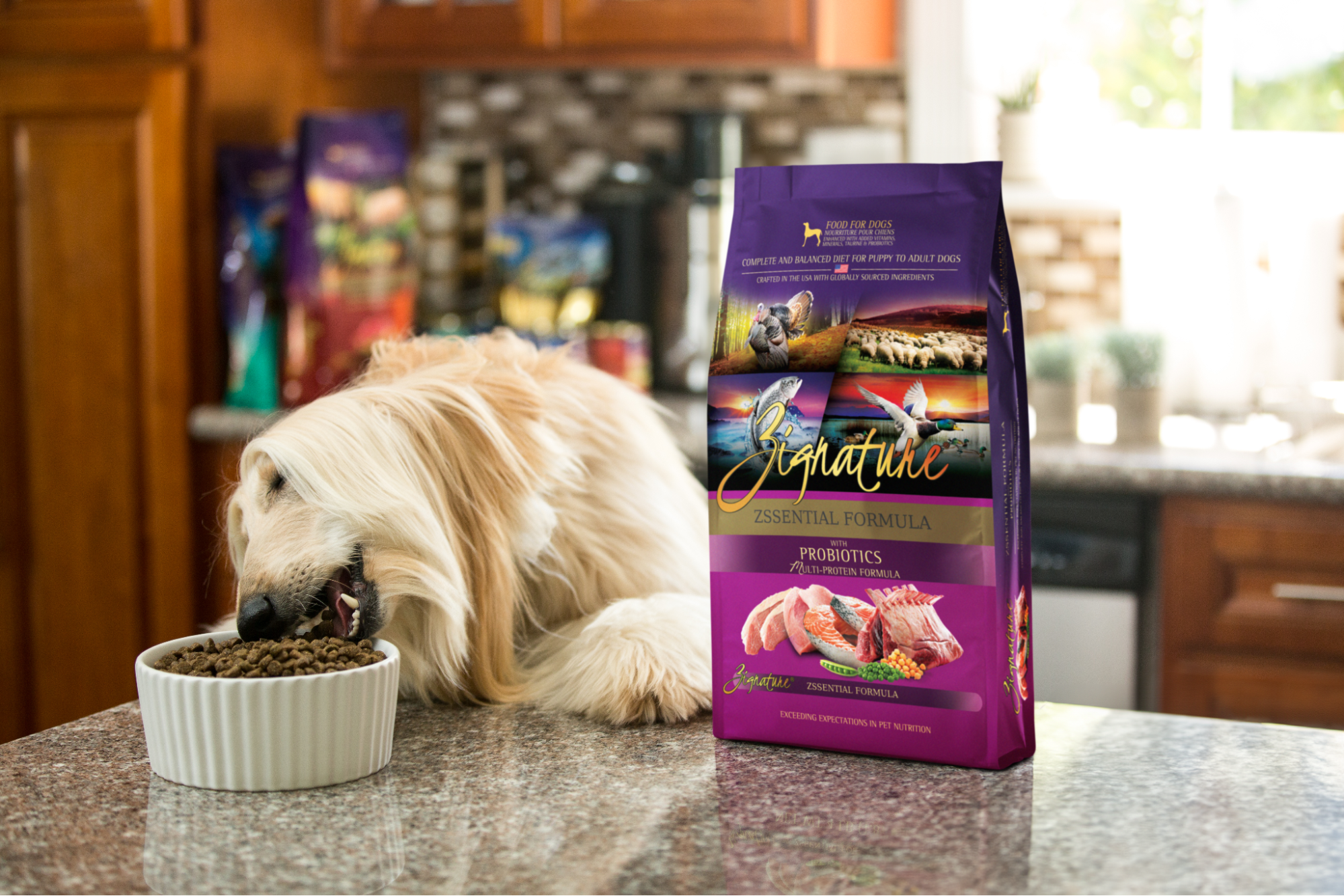 Pets Global