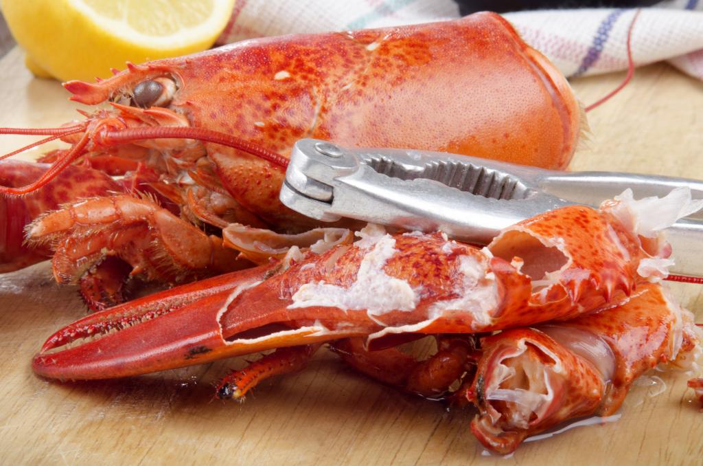 open lobster pincer on wooden board