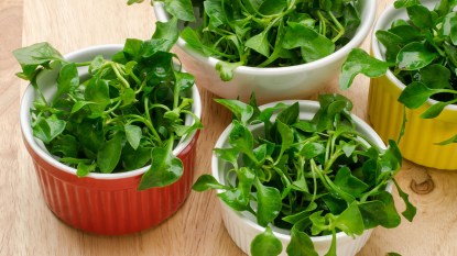 Bowls of fresh watercress, which is packed with health benefits