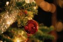 Bauble on Christmas Tree