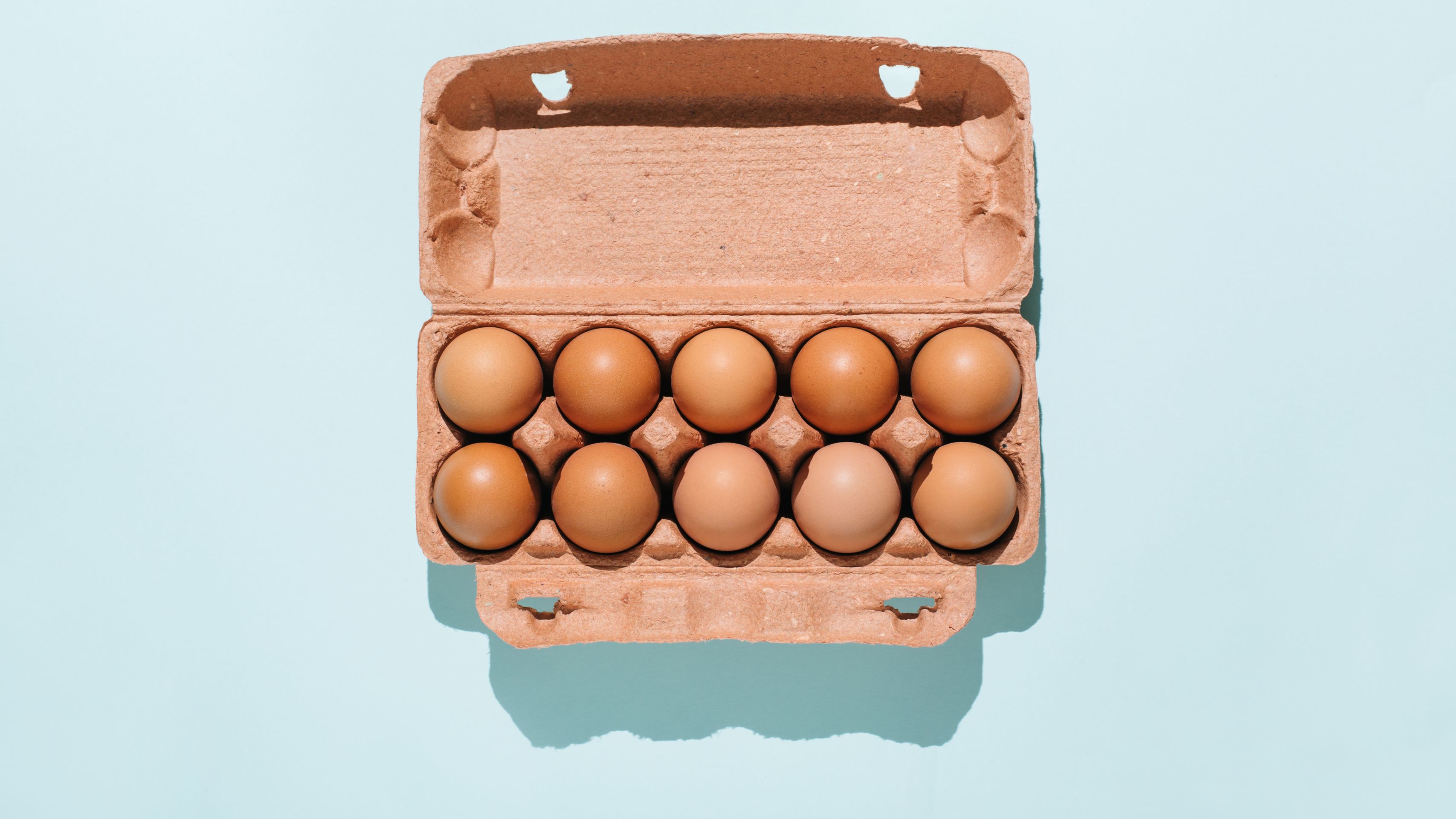 Carton of eggs