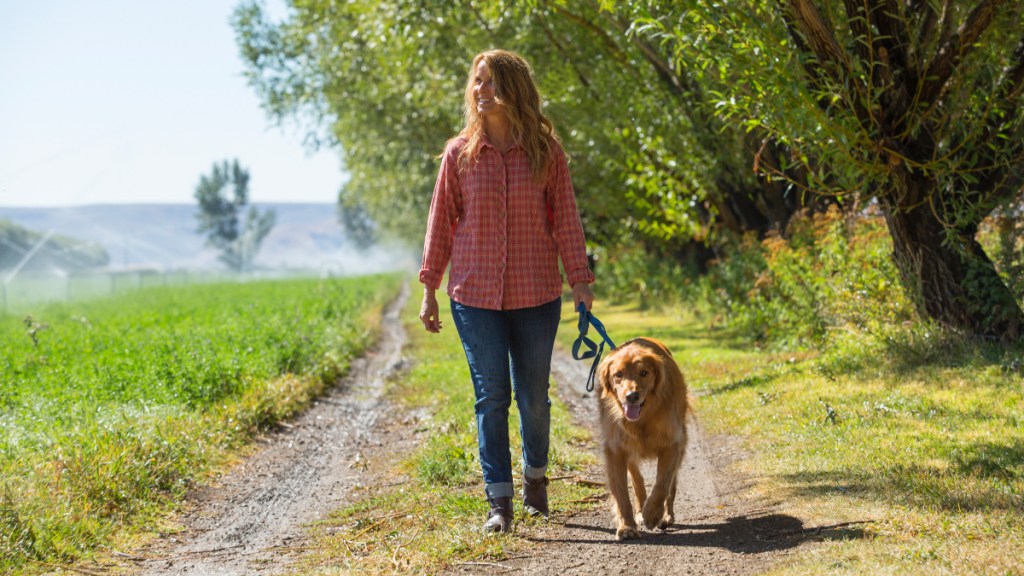 A woman walking her gold retriever dog along a green path