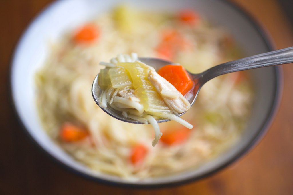 chicken noodle soup