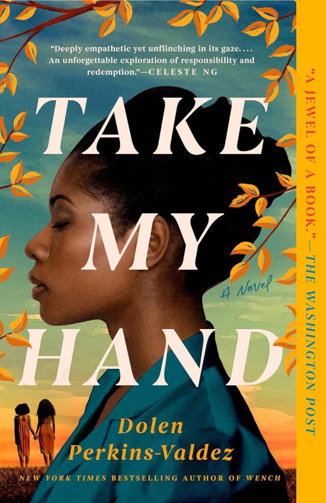 Take My Hand by Dolen Perkins Valdez  (Best Historical Fiction Books) 