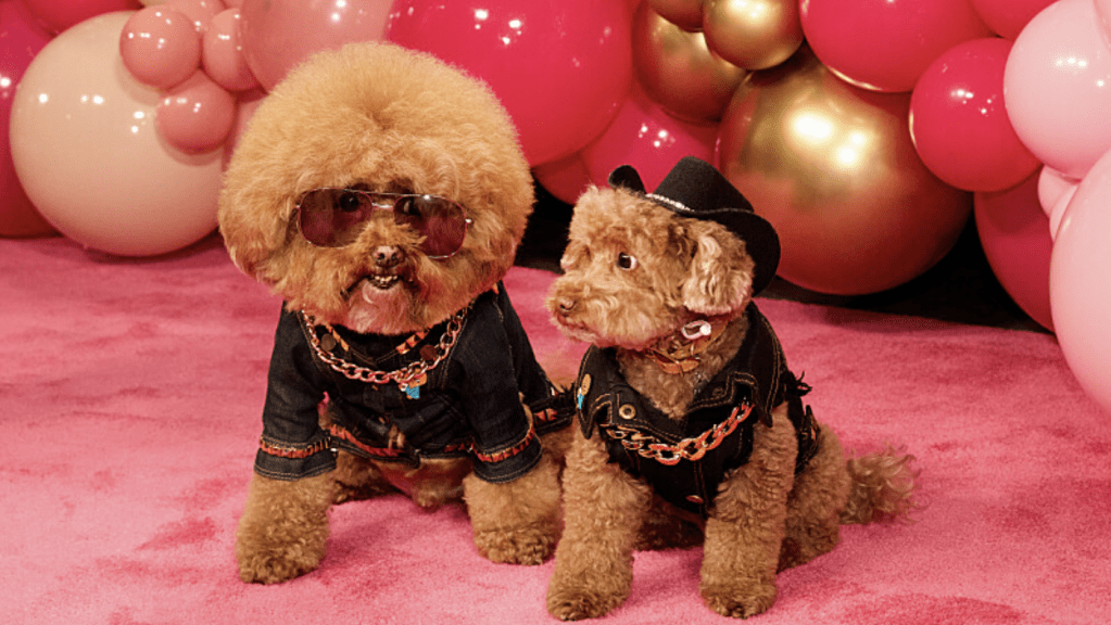 Pooch NYC and Lil Freddie Tinkles, Dolly Parton's Pet Gala, 2024