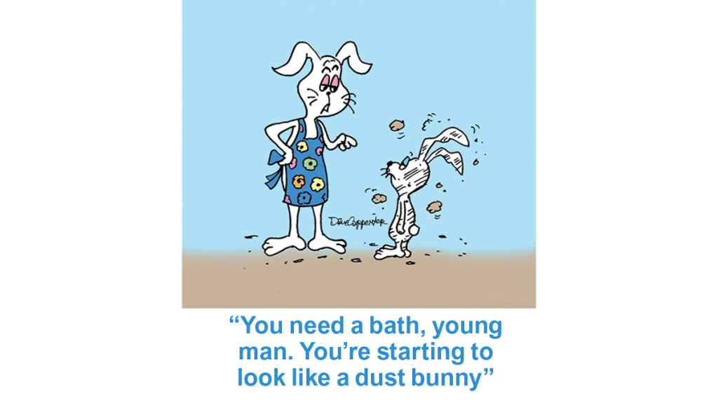 Cleaning jokes: Cartoon of mom bunny telling kid bunny, "You need a bath, young man. You're starting to look like a dust bunny."