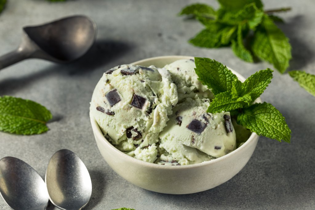 bowl of mint chocolate chip ice cream