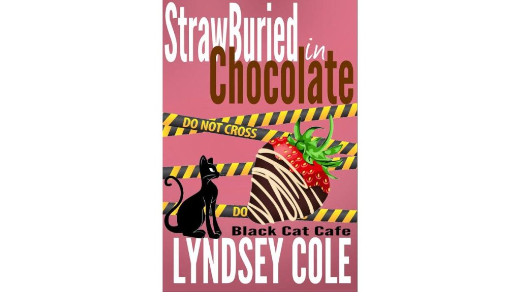 StrawBuried in Chocolate by Lyndsey Cole