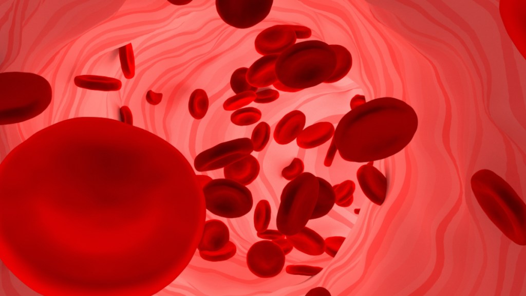 An illustration of red blood cells, which are supported by iron