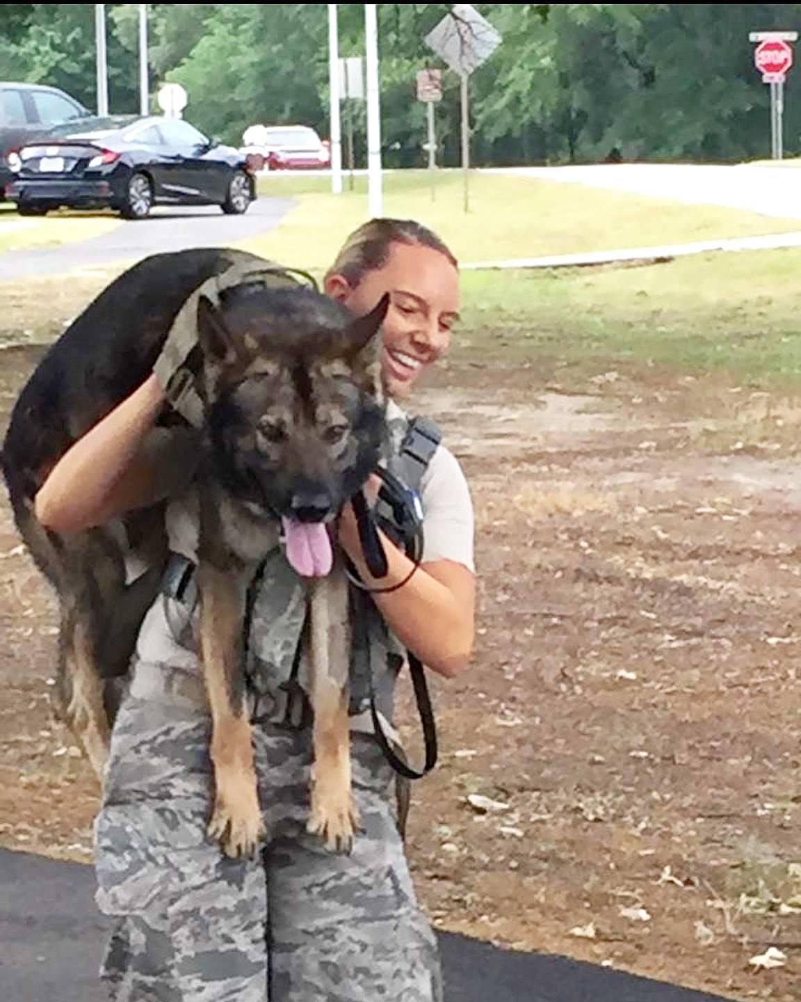 Military Dog and Handler Reunited After Years Apart