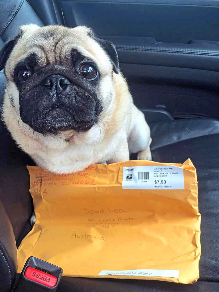The pugs love receiving snail mail too