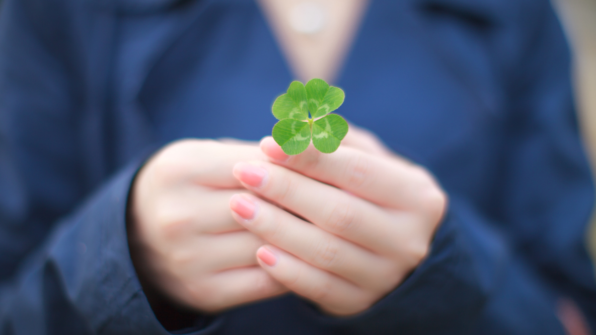 a woman holds a four-leaf clover