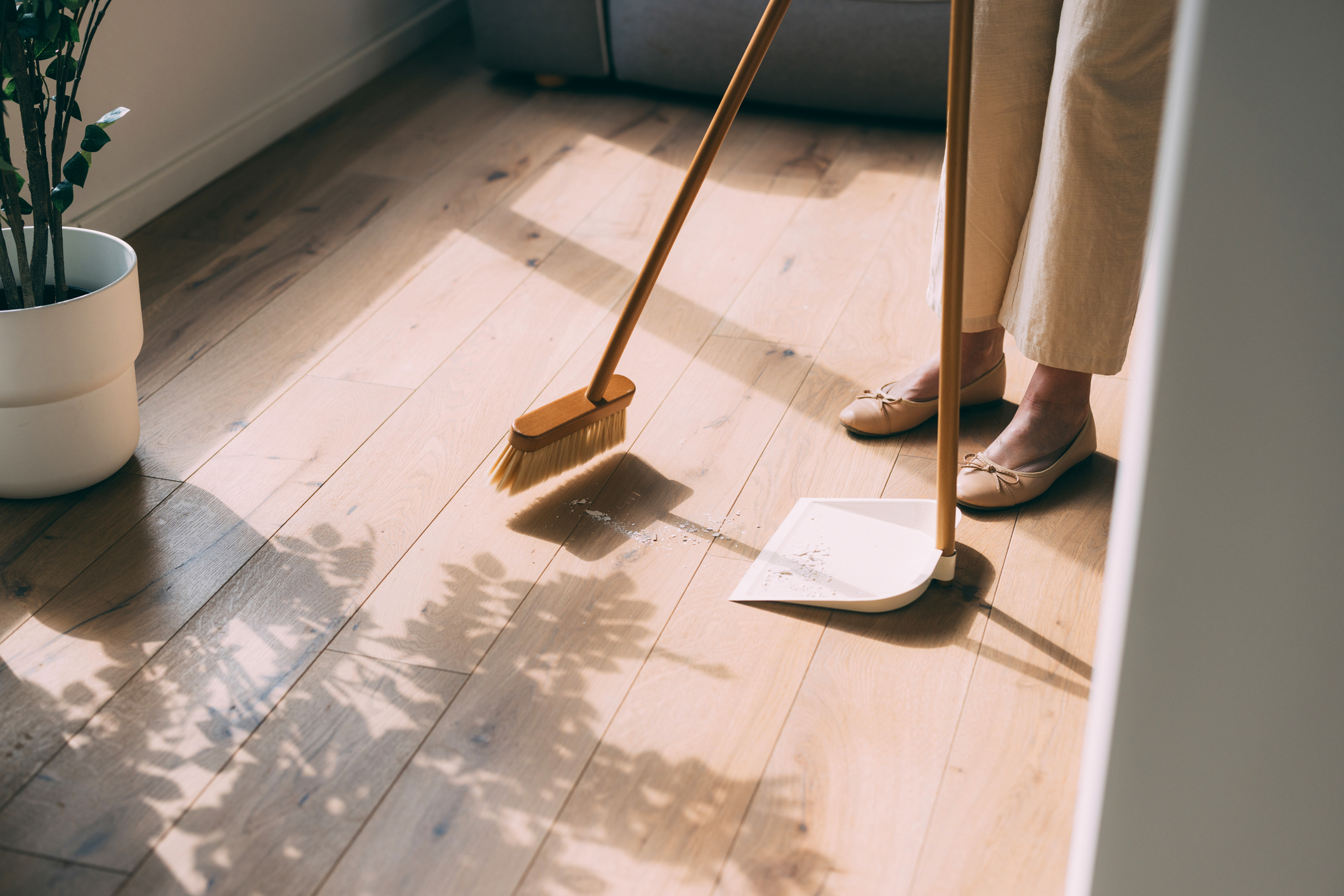 Mature woman cleaning home to prevent exposure of hantavirus