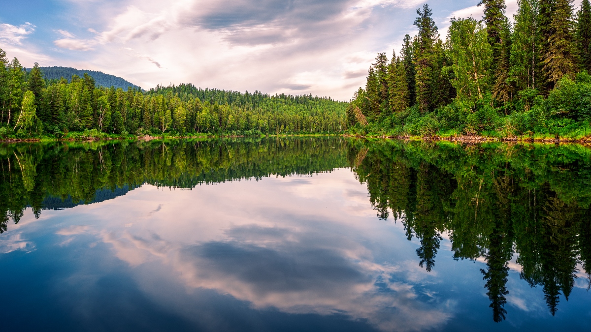 Reflections in a water landscape