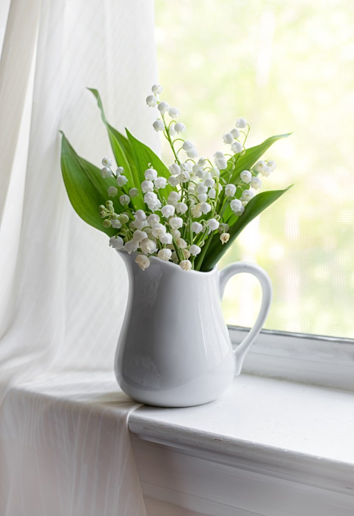 Lilies of the Valley in a pitcher