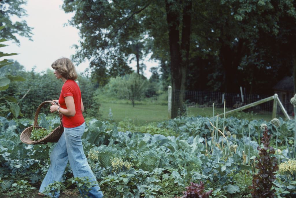 Martha Stewart, 1976