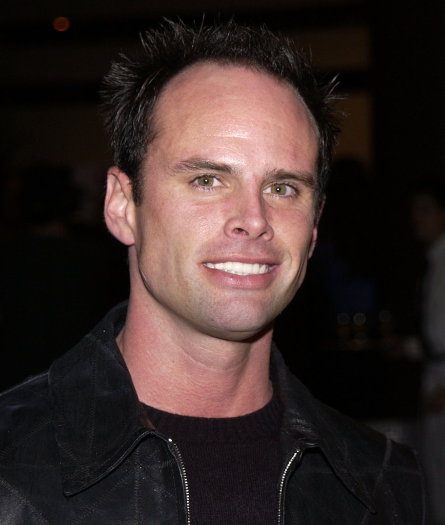 Walton Goggins, 2003