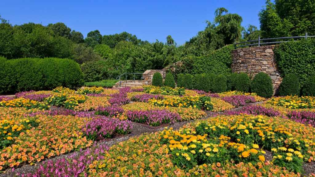 A botanical garden