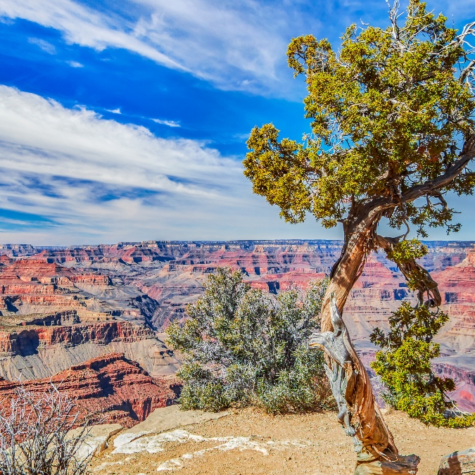 Grand Canyon National Park
