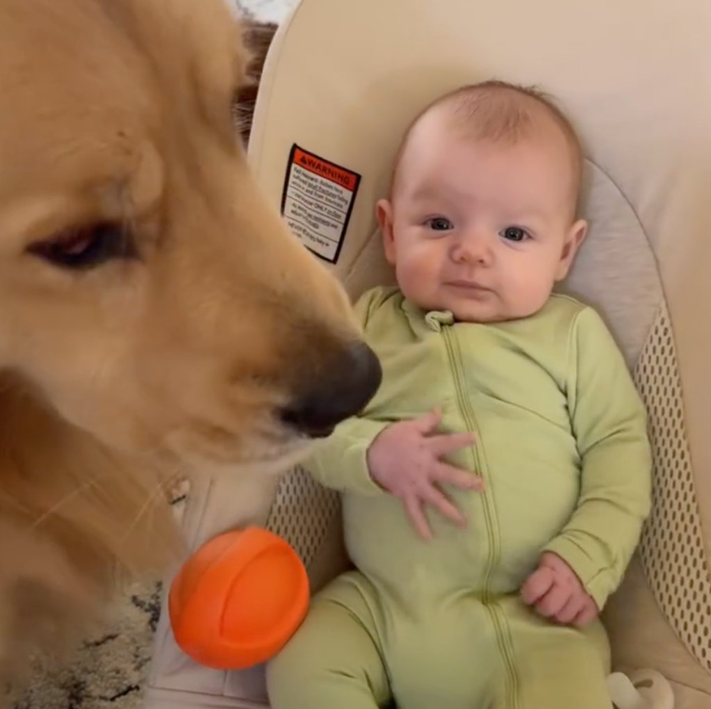 Sofia Scott and George, 2025