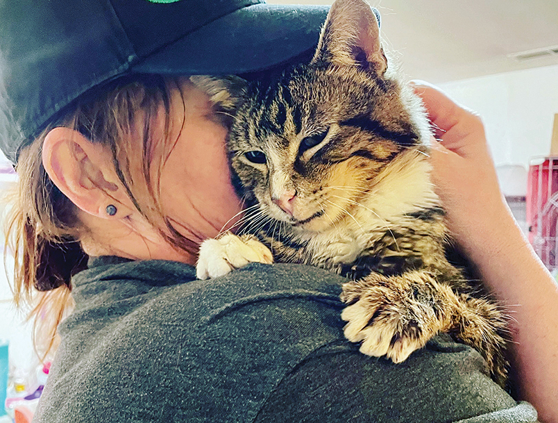 TLC helps heal kitty Lillian’s heart after losing her human