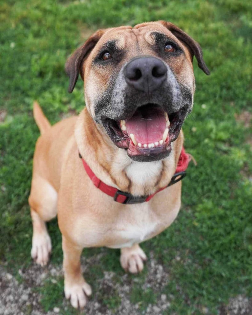 Minnie stuck by Mike’s side through thick and thin, and helped pull Mike out of his depression