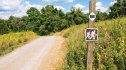 A hiking trail