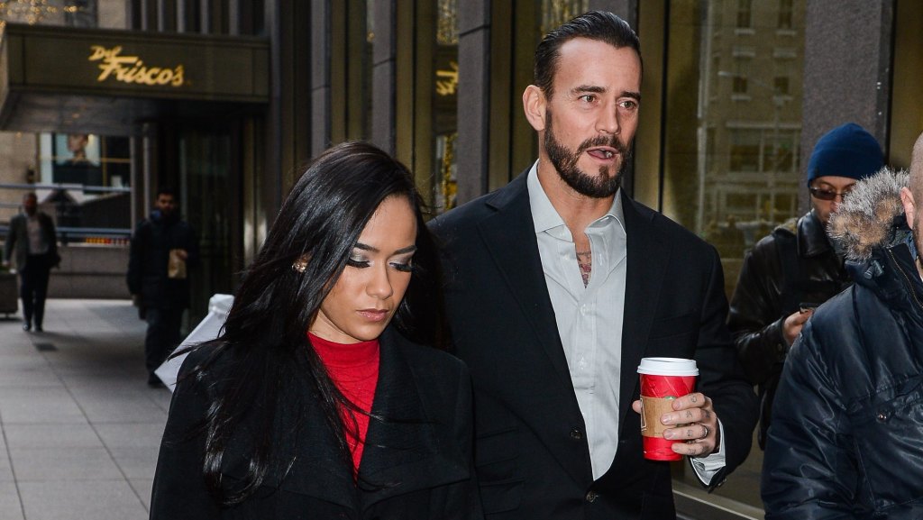 AJ Lee and CM Punk, 2014