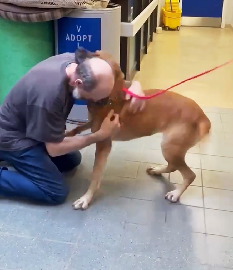 Mike never stopped checking in on Minnie and praying they could be reunited someday