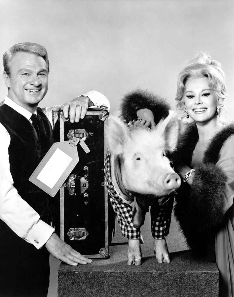 GREEN ACRES, (l to r): Eddie Albert, Arnold the pig, Eva Gabor, 1965-1971